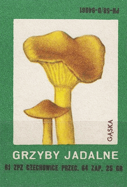 Z&uuml;ndholzetikett