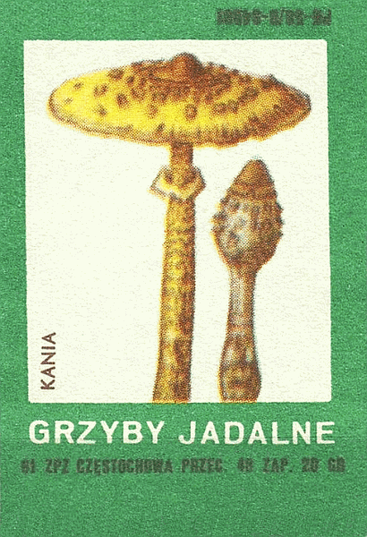 Z&uuml;ndholzetikett