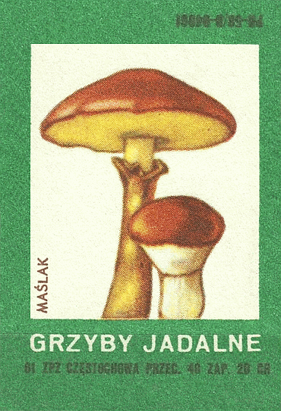 Z&uuml;ndholzetikett