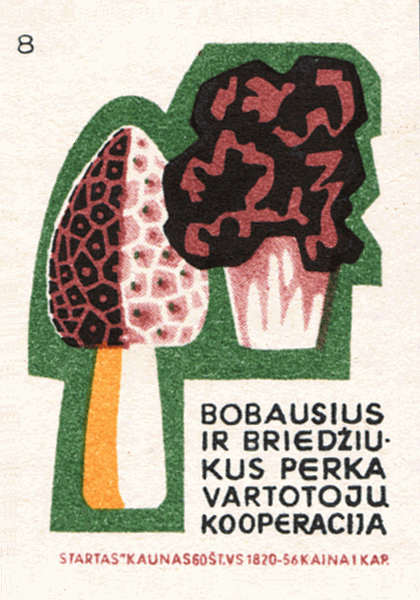 Z&uuml;ndholzetikett