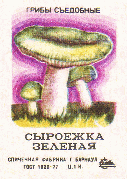 Z&uuml;ndholzetikett